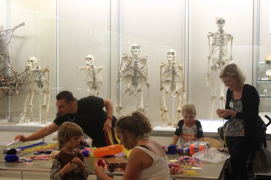 Children Learning in Front of the Evolution of Man