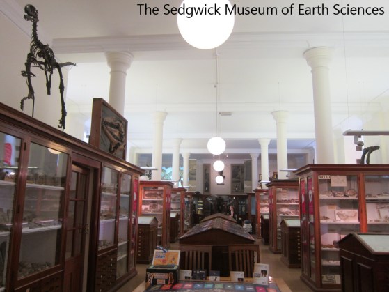 The Sedgwick Museum of Earth Sciences