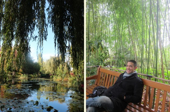 Weeping Willow and Bamboo