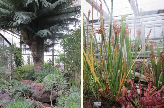 Reminds Me of Florida