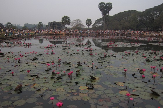 Angkor Wat 05