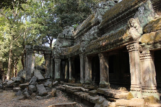 Ta Prohm 13