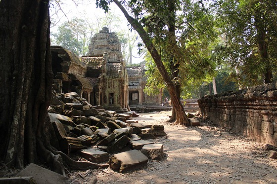 Ta Prohm 18