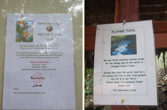 Herbal Steam and Plunge Pool