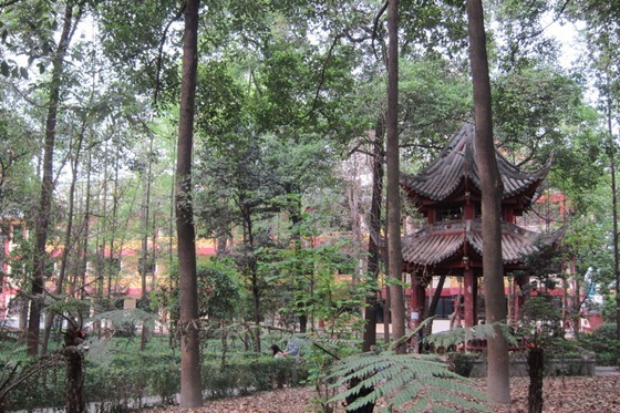 Chengdu 06