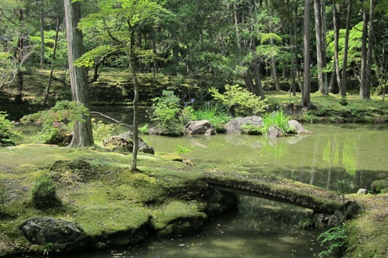 Moss Temple 12