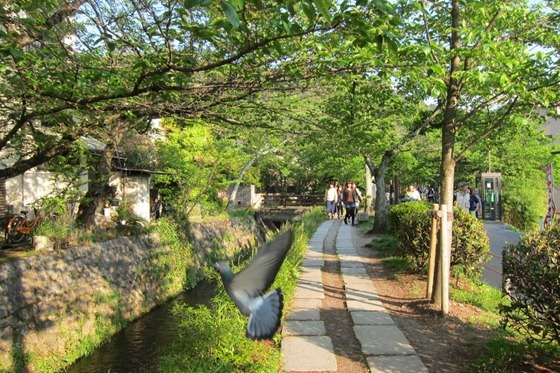 Philosopher's Path 02