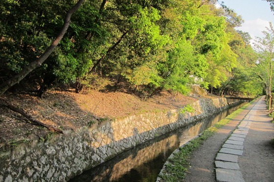 Philosopher's Path 03