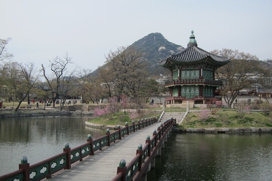 Seoul 11