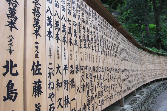 Mount Takao 18