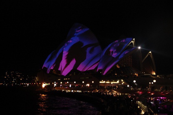 Sydney 12