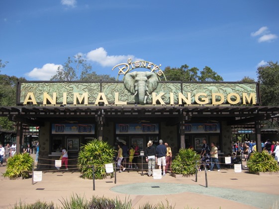 Animal Kingdom 01