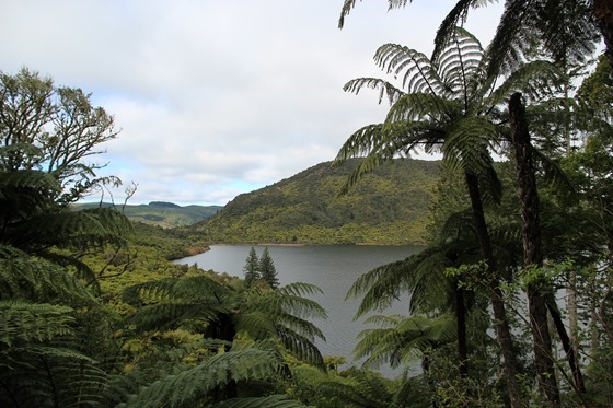 Rotorua 17