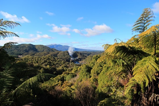 Rotorua 25