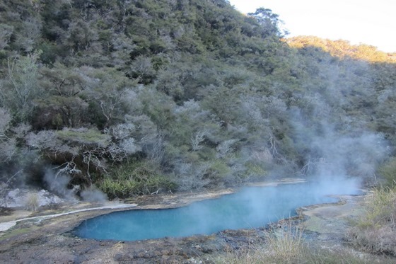 Rotorua 38