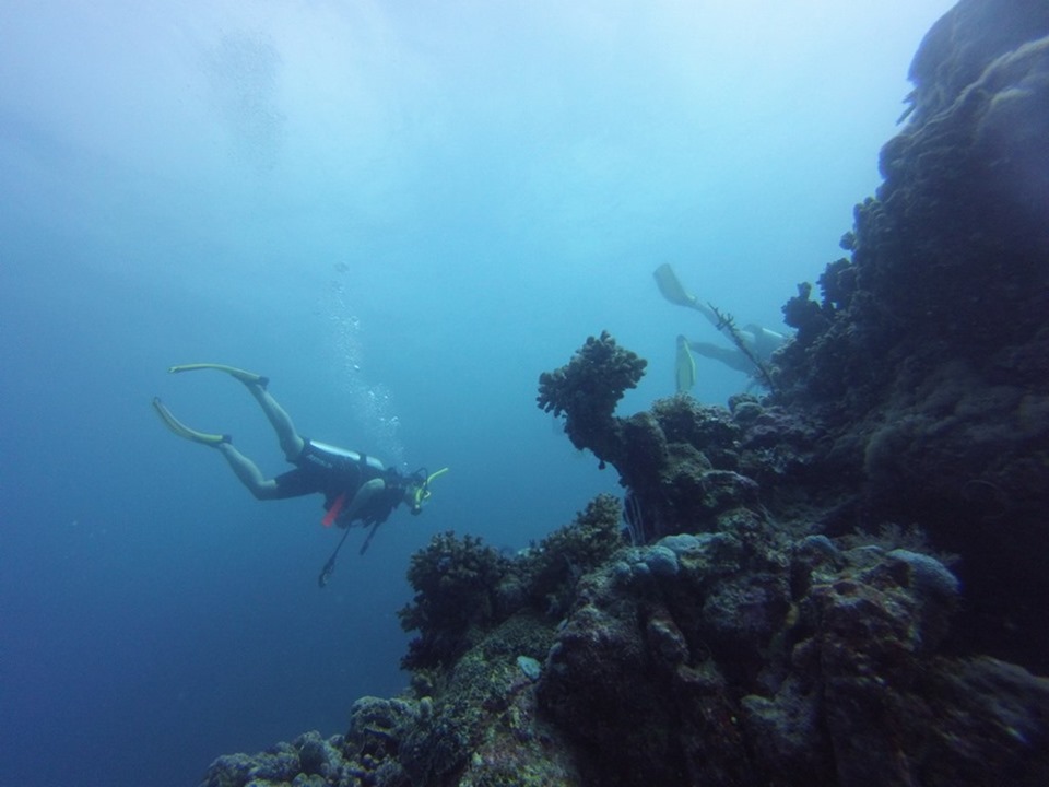 Great Barrier Reef Reality