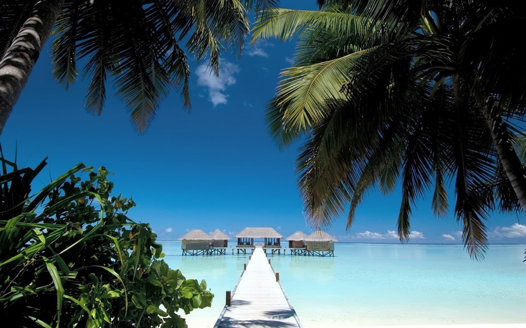 The Maldives