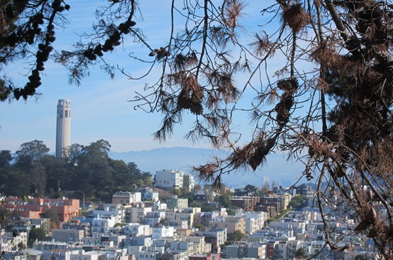 Russian Hill 01