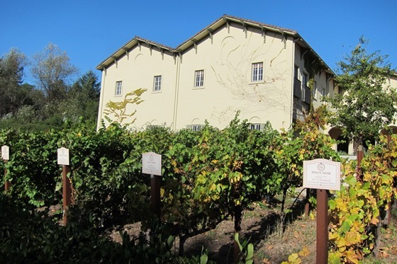 Sonoma 071