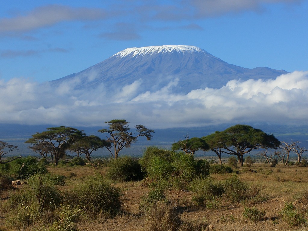 Kilimanjaro nature