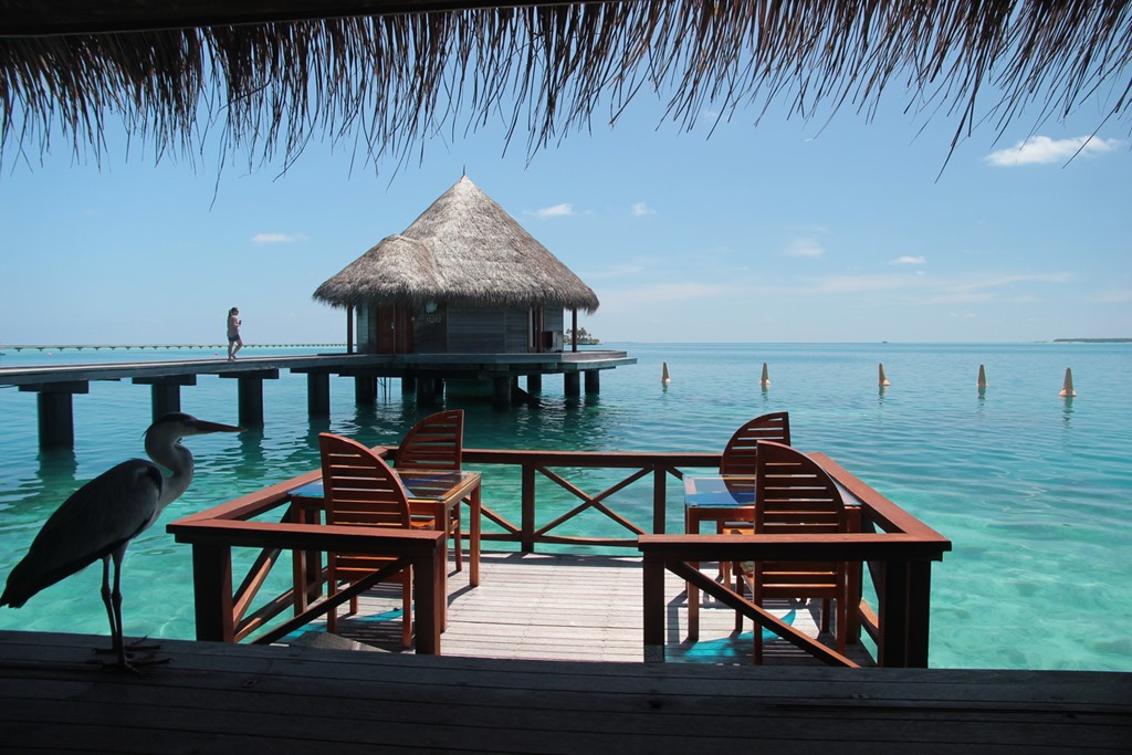 Maldives Cheap Eats 036