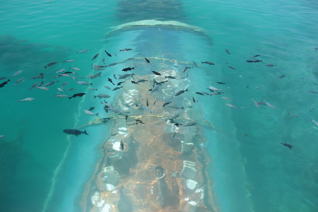 Maldives Cheap Eats 038