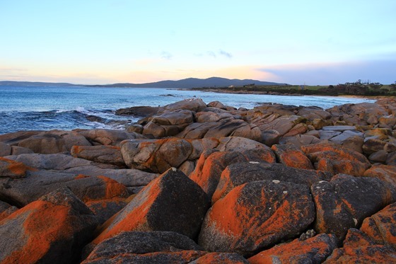 Tassie - Bay of Fires and Wineglass Bay 001