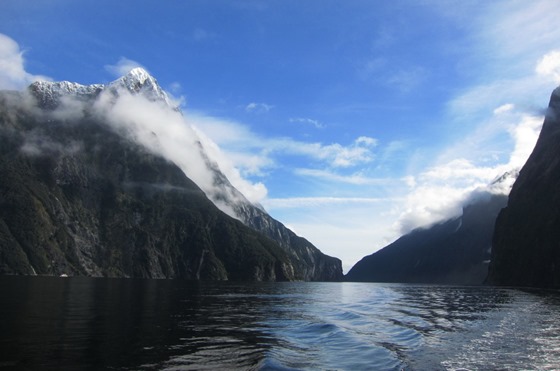 Milford Sound 23