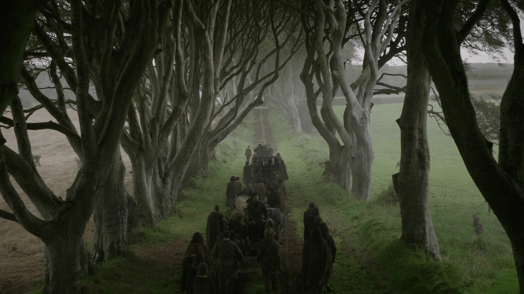Dark Hedges