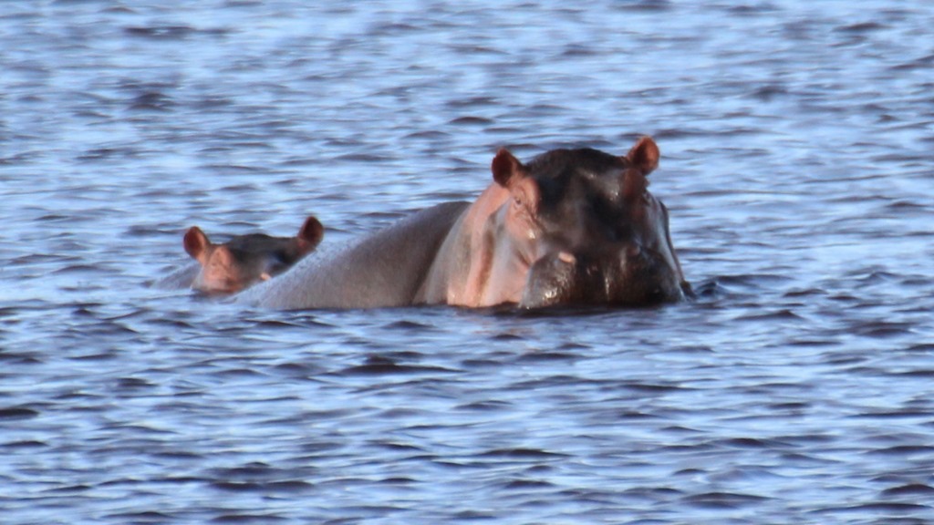 Masek Tented Lodge 019