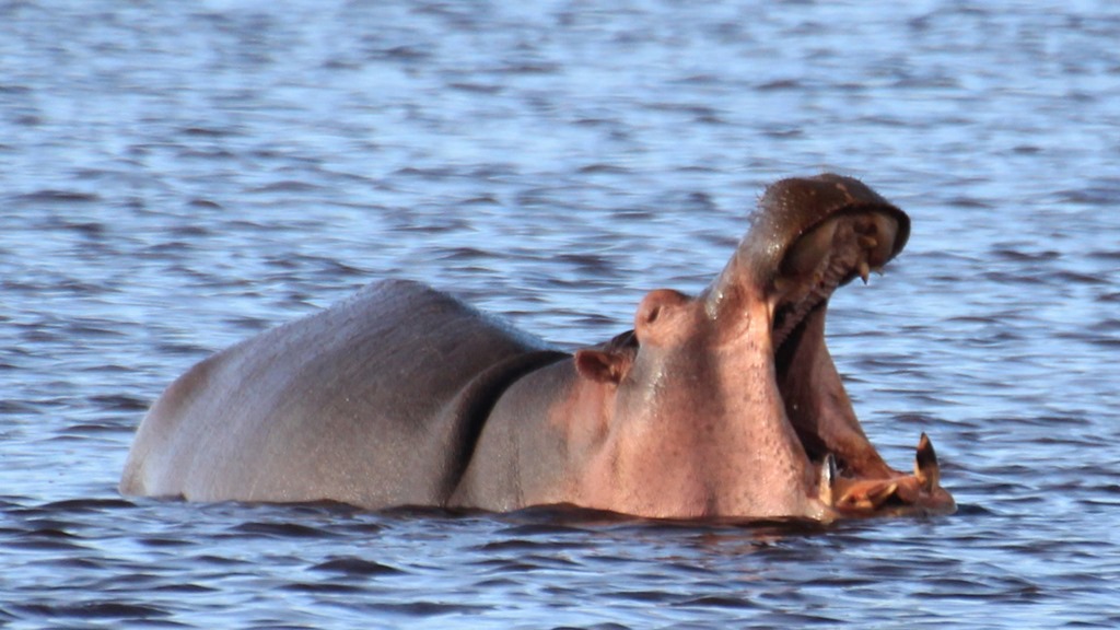 Masek Tented Lodge 020