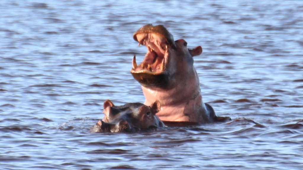 Masek Tented Lodge 022