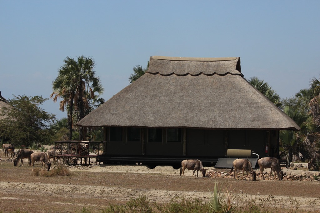 Mrambi Lodge 022