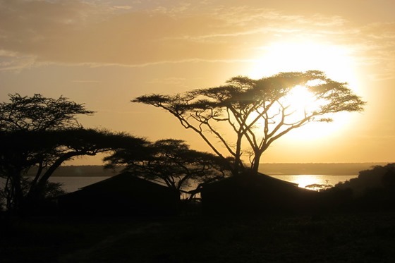 Ndutu Under Canvas Camp 001