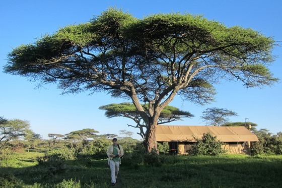 Ndutu Under Canvas Camp 009