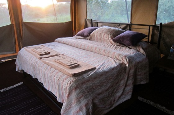 Ndutu Under Canvas Camp 011