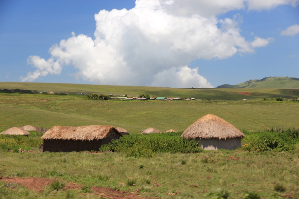 Ngorongo Park Day 1 001