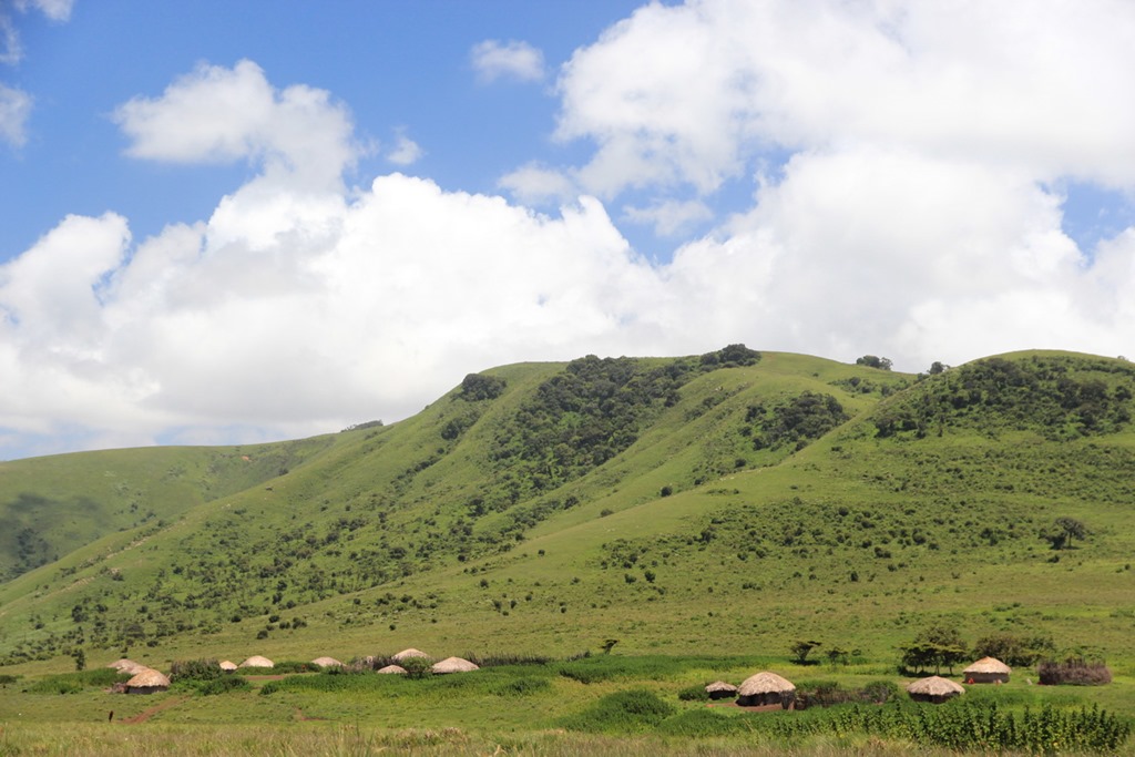 Ngorongo Park Day 1 002