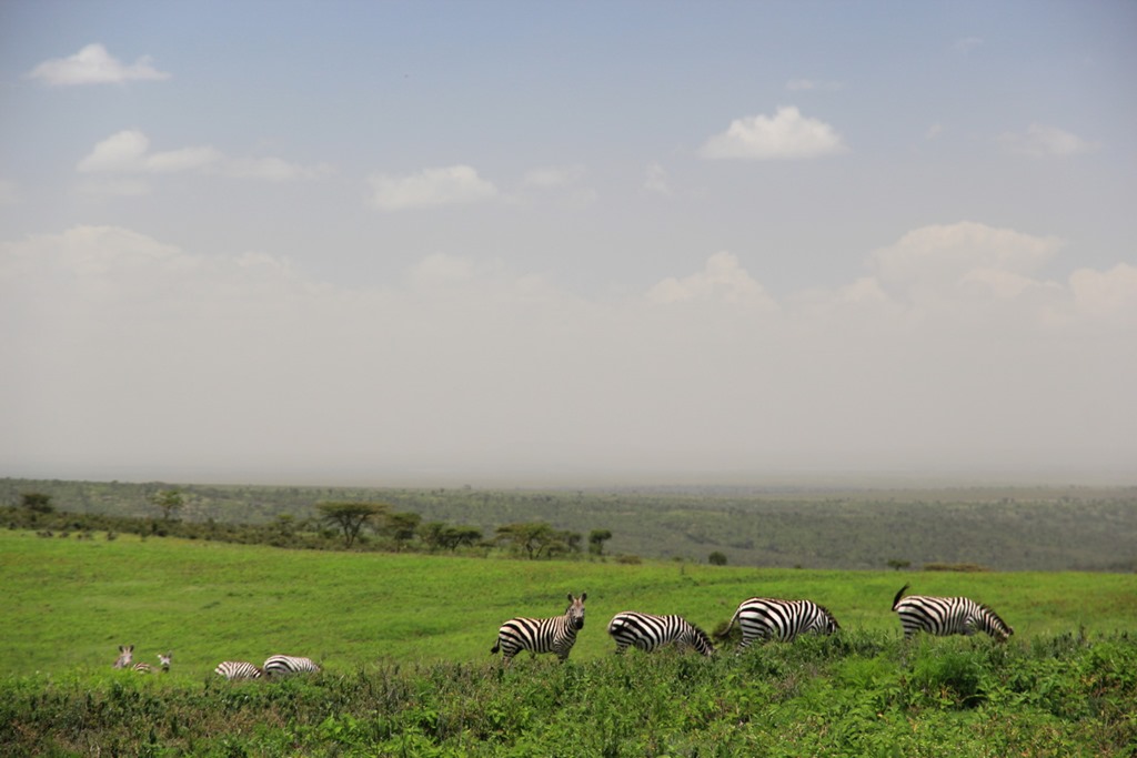 Ngorongo Park Day 1 005