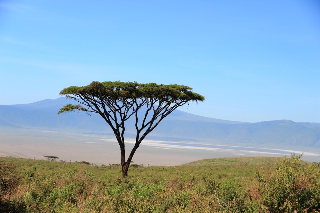 Ngorongoro Crater 008