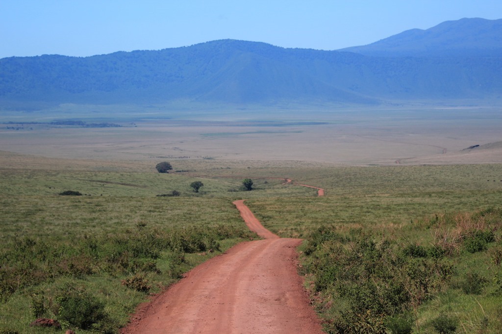 Ngorongoro Crater 009