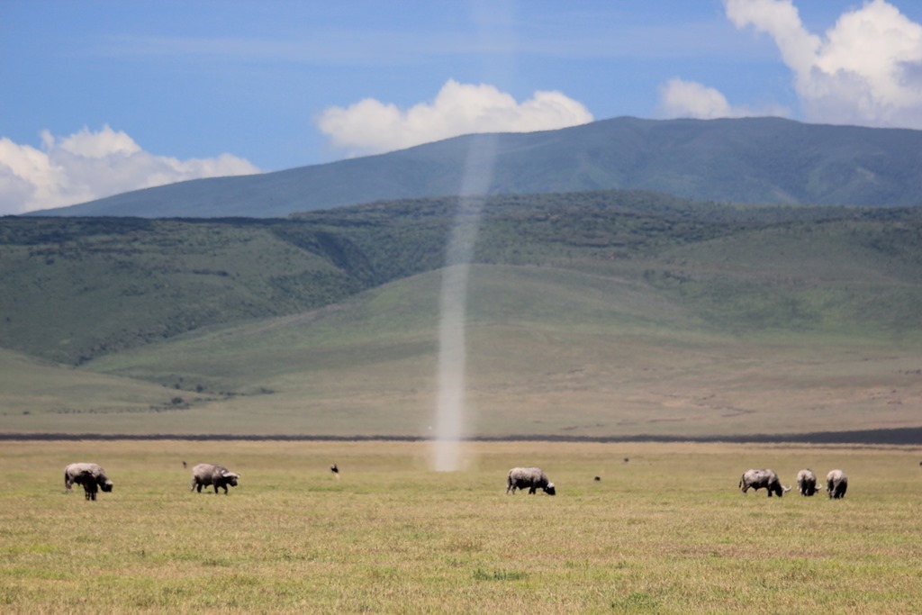 Ngorongoro Crater 020