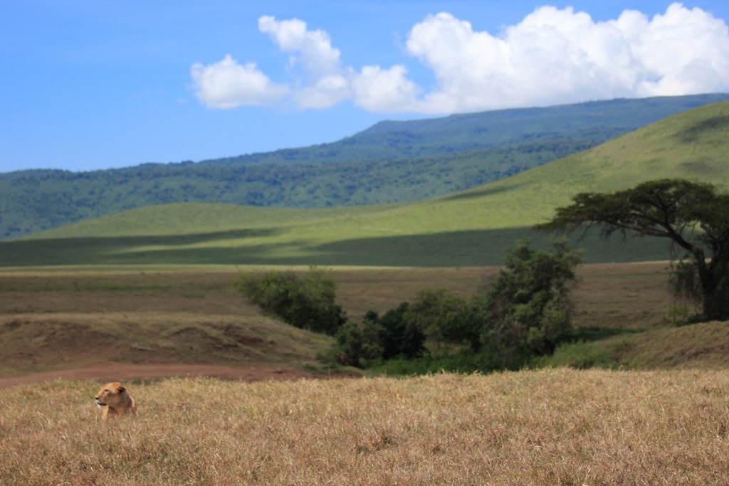 Ngorongoro Crater 023