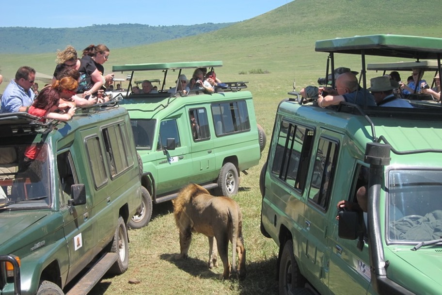 Ngorongoro Crater 030