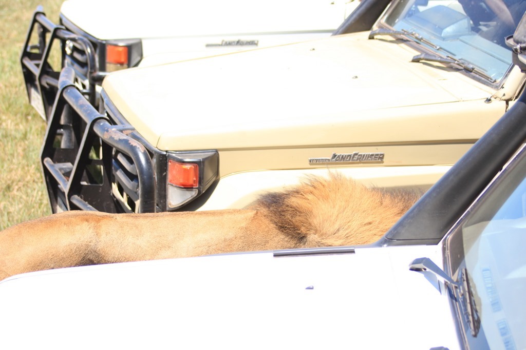 Ngorongoro Crater 031