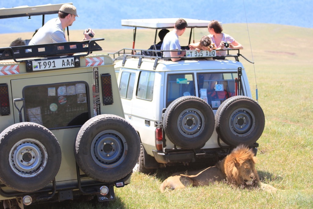 Ngorongoro Crater 033