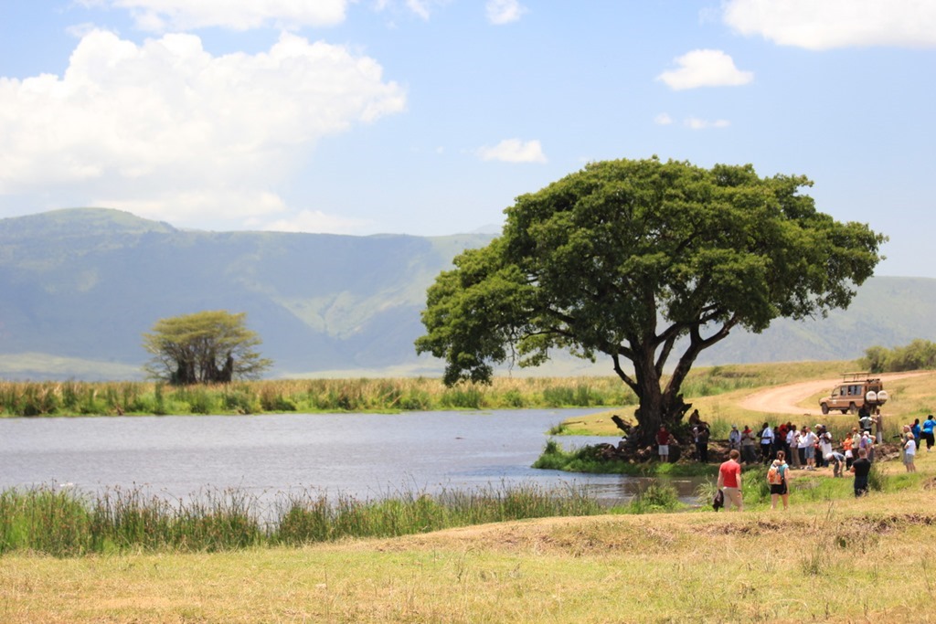 Ngorongoro Crater 043