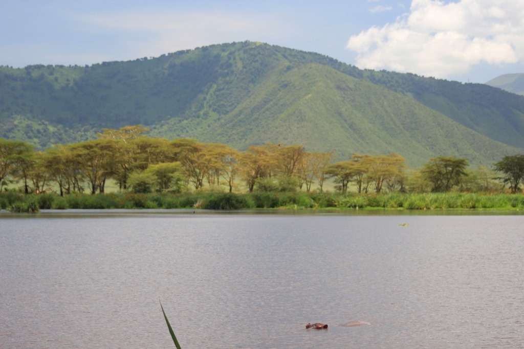 Ngorongoro Crater 045