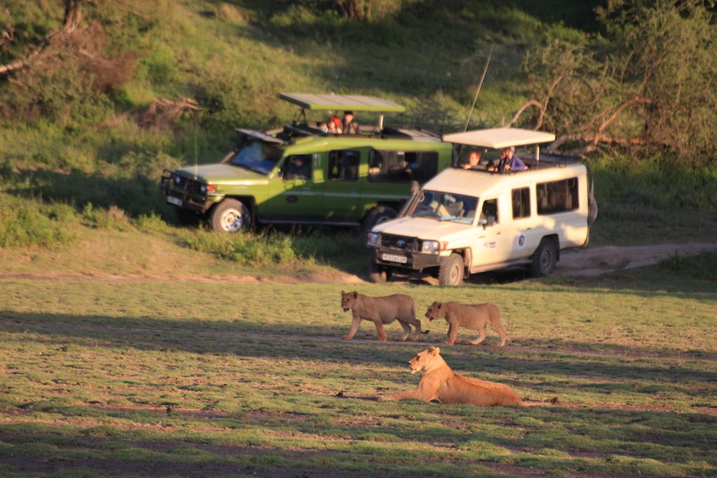 Ngorongoro Park Day 2 013