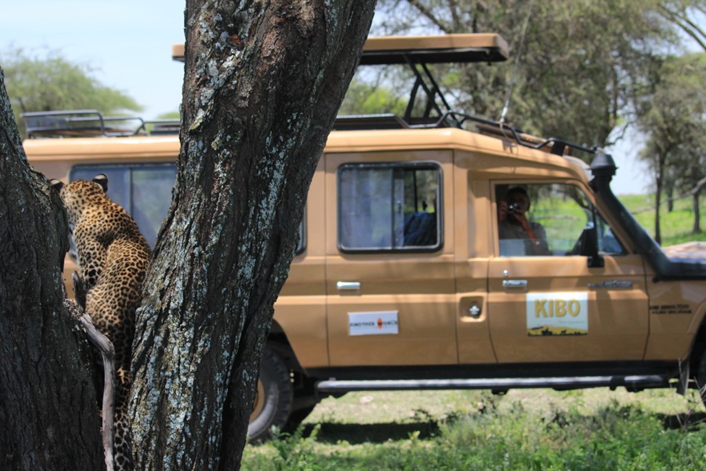 Ngorongoro Park Day 2 033